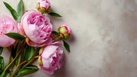 Pink peony flowers with buds and green leaves on neutral beige textured background, perfect for wedding invitations and romantic designs.