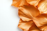 Delicate orange petals with soft pleated texture create elegant natural curves against white background, showcasing organic shapes and light interplay.