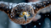 Majestic eagle close-up portrait in snowfall showing intense gaze and sharp beak. Dramatic wildlife photography with shallow depth of field and moody atmosphere.