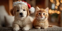 Adorable puppy and kitten wearing Santa hat sitting together on couch during Christmas holiday season with warm bokeh lights in cozy home interior.