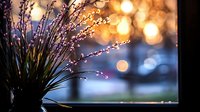 Delicate white wildflowers silhouetted against golden bokeh lights and blue evening sky create dreamy atmospheric mood for romantic and nature photography.