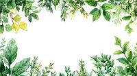 Watercolor green leaves and branches frame border on white background, botanical nature design elements for wedding invitations and greeting cards.