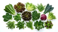 Fresh organic leafy greens and vegetables collection isolated on white background for healthy cooking and nutrition concepts.