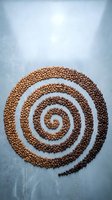 Coffee beans arranged in spiral pattern on textured blue background for cafe menu design and beverage advertising concepts.