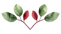 Symmetrical arrangement of watercolor leaves in green and red tones on white background, botanical art composition for nature-inspired designs.