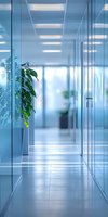 Modern office corridor with glass walls and green plant in white pot, illuminated by fluorescent ceiling lights creating clean, professional atmosphere.