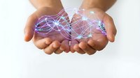 Cupped hands holding glowing digital network connections with colorful light trails and data points for technology and connectivity concepts.