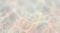Abstract organic cellular structure with flowing lines and soft pastel colors creating dreamy ethereal background for wellness and science designs.