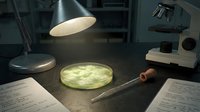 Scientific laboratory workspace with petri dish containing bacterial culture under microscope examination for medical research and microbiological analysis.