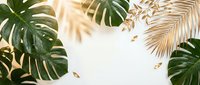 Tropical leaves frame with monstera and palm fronds creating natural border on white background for summer design projects and botanical themes.