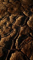 Cracked, parched earth with deep fissures and brown soil texture, depicting severe drought conditions and environmental degradation for climate change awareness.
