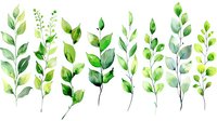 Delicate watercolor green leaves and branches arranged in horizontal composition on white background, botanical elements for nature-inspired designs.