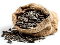 Unshelled black sunflower seeds spilling from burlap sack on white background, raw organic snack for healthy eating and bird feeding.