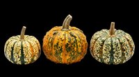 Three decorative autumn gourds isolated on transparent background, ready for fall clipart, T-shirt design, stickers, print on demand, and sublimation projects.