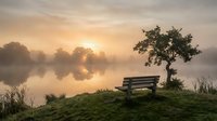 Peaceful morning sunrise over misty lake with wooden bench under tree creating serene landscape for meditation and relaxation concepts.