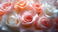 Delicate pink and white roses in soft focus create romantic floral background with gentle light effects, suitable for wedding and celebration designs.
