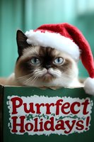 Grumpy Siamese cat wearing Santa hat resting head on festive holiday sign, blue eyes and chocolate point markings against turquoise background.