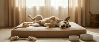 Golden retriever resting on beige orthopedic pet bed in bright living room with natural light, toys and food bowls nearby for home comfort.
