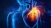 Glowing anatomical heart visualization with orange and blue colors showing cardiac system and blood vessels in human body for medical education.