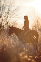 Woman horseback riding through golden field at sunset, silhouetted against warm light. Equestrian sport and outdoor recreation.