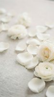 Soft white roses and scattered petals on neutral linen background creating romantic wedding or spa atmosphere for branding and design projects.