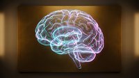 Glowing neon brain with colorful light effects on dark background for neuroscience, psychology, artificial intelligence and medical technology concepts.
