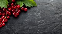 Fresh red currant berries with green leaves on dark slate stone background with copy space. Natural healthy food concept for menu design.