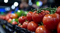 Fresh ripe red tomatoes with water droplets on vine at farmers market display with colorful bokeh lights background for healthy organic food concepts.