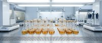 Amber liquid samples in glass beakers lined up on laboratory bench with scientific equipment and blue-tinted workspace for chemical research and analysis.