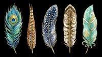 Decorative feather collection featuring peacock, striped, spotted, and ornamental designs isolated on transparent background. Ready for t-shirt designs, clipart, stickers, sublimation, and print-on-demand projects.