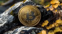 Golden cryptocurrency coin on dark stone with autumn yellow leaves, representing digital money mining concept and blockchain technology in nature setting.