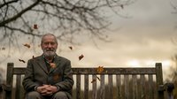Elderly African American man sitting peacefully on wooden park bench during autumn with falling leaves creating serene outdoor retirement moment.