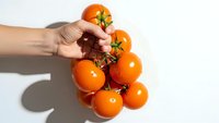 Fresh orange cherry tomatoes on vine held by hand against white background for healthy cooking and organic food concepts.