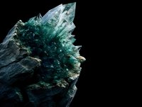 Vibrant teal crystal cluster emerging from dark stone against black background, showcasing natural mineral formation with translucent pointed structures.