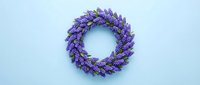 Fresh lavender wreath on light blue background for home decor, aromatherapy and natural wellness concepts. Isolated floral arrangement ready for design.