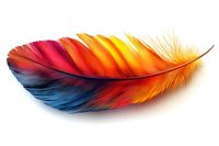 Vibrant multicolored feather displaying gradient transition from deep blue to red and bright yellow orange, isolated on white background for creative design projects.