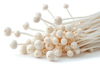 White enoki mushrooms bunch on white background, fresh organic Japanese fungi isolated, macro food photography for culinary and cooking design.