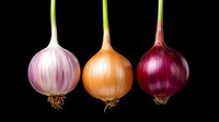 Fresh whole onion bulbs in pink, yellow and purple colors with roots arranged in row on black background, dramatic food photography style.