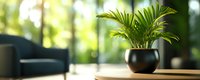 Lush green palm plant in modern black ceramic pot on wooden table against blurred living room interior with natural sunlight and bokeh effect.