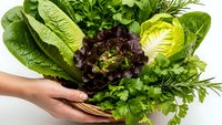 Fresh organic leafy greens and herbs in wicker basket held by hands. Healthy salad ingredients including lettuce, spinach, parsley for cooking and nutrition.