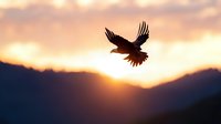 Majestic eagle soaring through golden sunset sky over mountain valley with dramatic clouds and warm sunlight creating inspirational freedom concept.