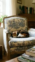 Tabby and white cat resting on vintage upholstered armchair with toile de Jouy pattern in cozy home library setting with books and potted plant by window.