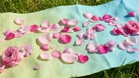 Pink rose petals scattered on colorful fabric blanket outdoors on grass for romantic picnic or wedding ceremony decoration setup.