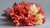 Vibrant bouquet of coral chrysanthemums and cream-colored flowers wrapped in pink paper, creating a cheerful floral arrangement for special occasions.