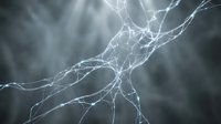 Electric lightning bolts branching across dark stormy sky, creating dramatic energy and power effects for weather, science, and atmospheric design projects.