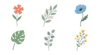 Isolated botanical elements featuring coral flower, blue poppy, yellow wildflowers, monstera leaf, and green foliage sprigs on white background. Ready for design projects.