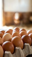Fresh brown eggs in cardboard carton on rustic kitchen counter with warm natural lighting for cooking and baking recipes.
