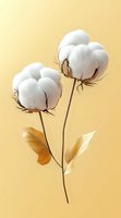 Ripe cotton bolls with golden leaves on beige background, natural organic fiber plant showing fluffy white cotton ready for harvest. Minimalist botanical art.
