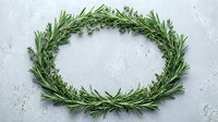 Fresh rosemary wreath arranged in circle on white textured background. Natural herb decoration for culinary cooking and kitchen design projects.