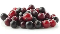 Fresh ripe cranberries scattered on white background, mix of dark red and burgundy berries showing natural variation in color and size, macro food photography.